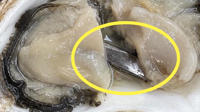 굴에서 5㎝ 칼날 조각 발견, 매장