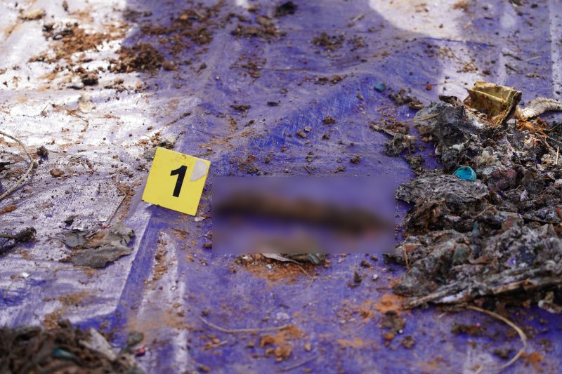 제주항공 사고기 잔해서 희생자 추정