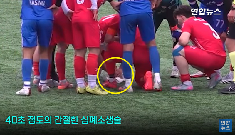 골키퍼가 찬 공에 맞아 추락한 갈매