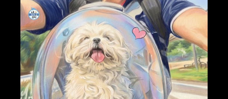 무지개 다리 건넌 꽃분이, 마지막 