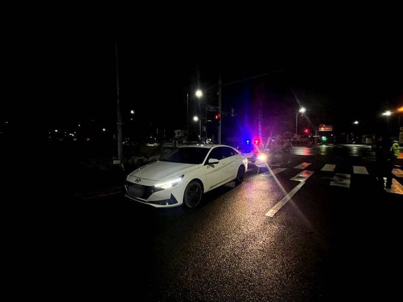 불법체류 중국인, 음주에 무면허까지