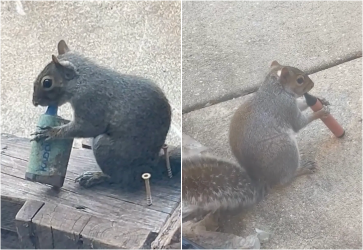 과일향 때문에.. 전자담배 깨물어먹