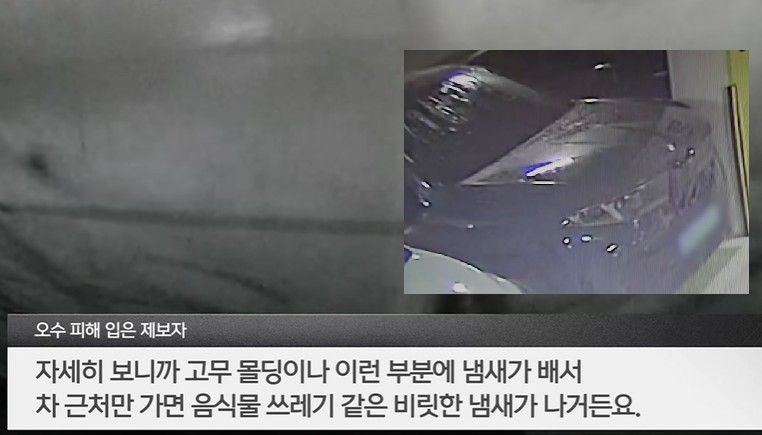 8000만원 신차 뽑은 지 2주 만