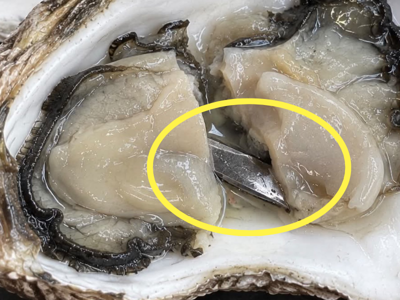 굴에서 5㎝ 칼날 조각 발견, 매장