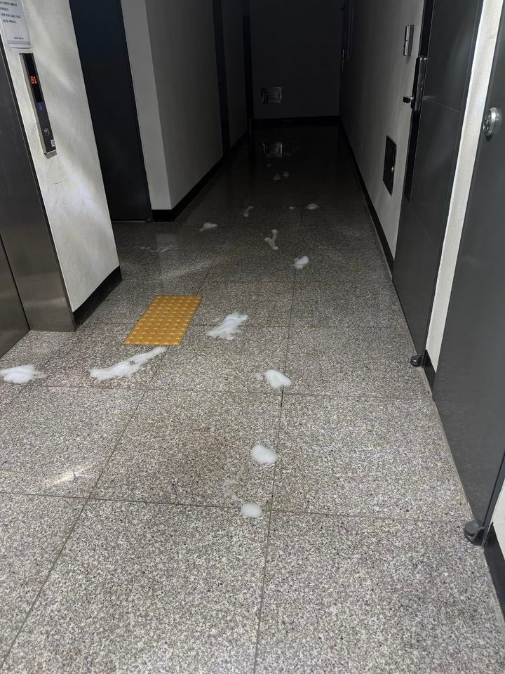 16층 복도부터 주차장까지 '배설물
