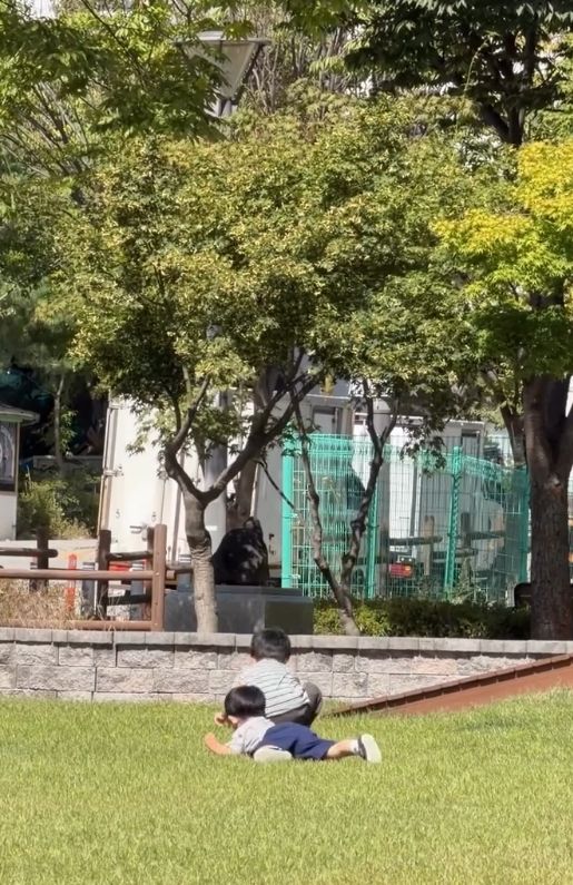 나혜미, 두 아들 산책 일상…에릭 