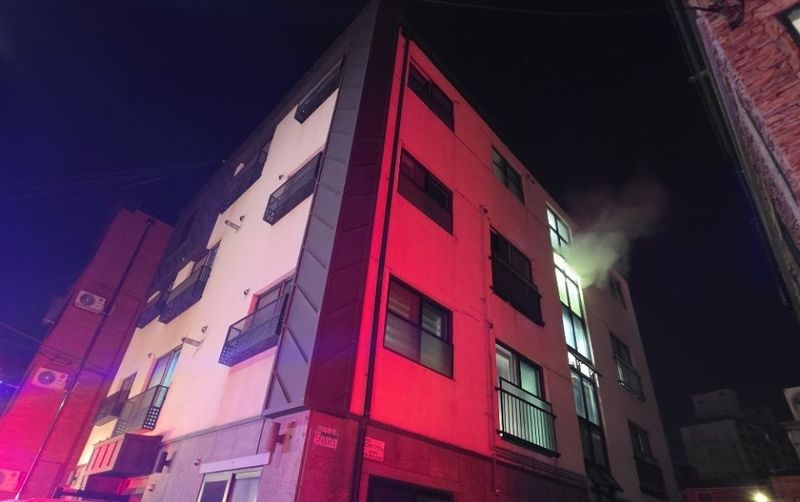 반려묘가 전기레인지 '꾹꾹'…대전 